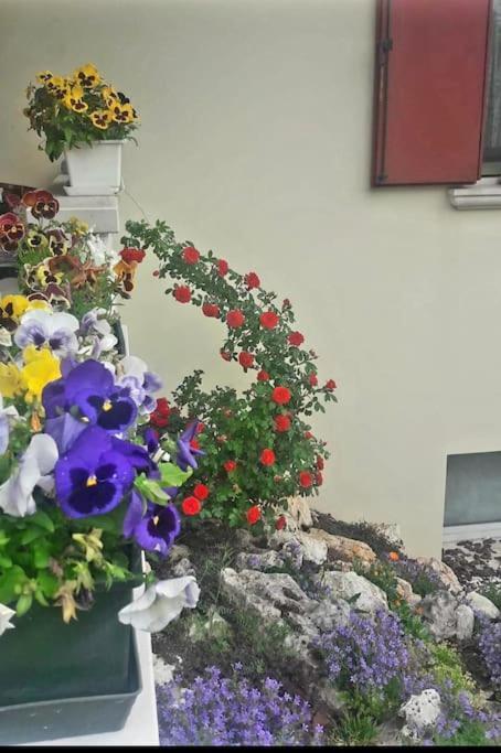 Villa Ama Pordenone Dış mekan fotoğraf