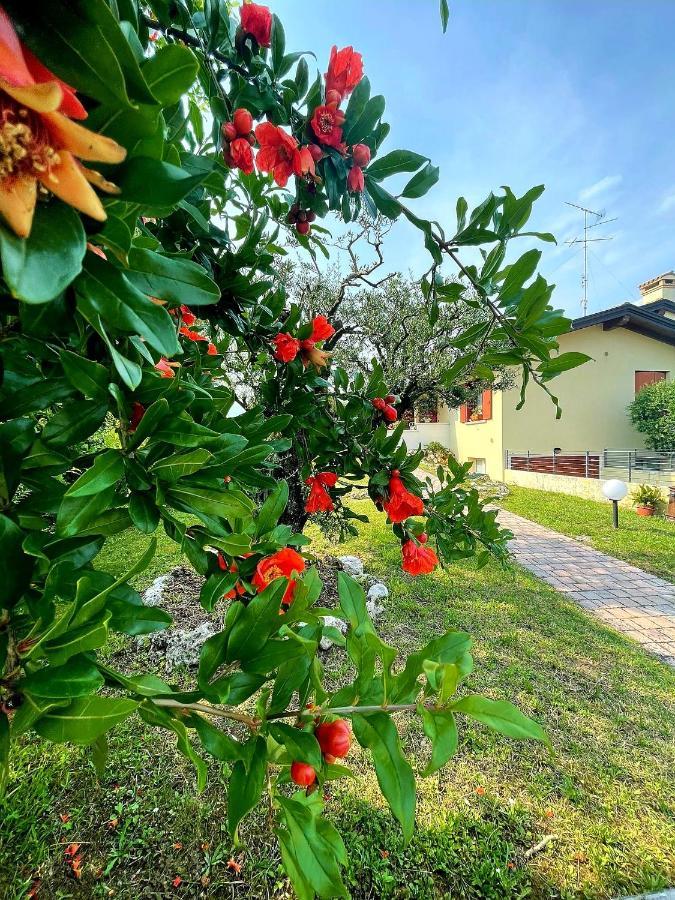Villa Ama Pordenone Dış mekan fotoğraf